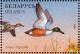 Colnect-1047-759-Northern-Shoveler-Spatula-clypeata.jpg