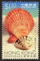 Colnect-1893-631-Shell-Chlamys-sp.jpg