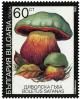 Colnect-3509-620-Satan--s-mushroom-Rubroboletus-satanas.jpg