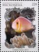 Colnect-5782-229-Fish-and-sea-anemone.jpg