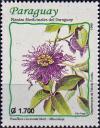 Colnect-3889-323-Passiflora-cincinnata.jpg