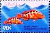 Colnect-4008-301-Sixspot-grouper.jpg