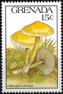 Colnect-2942-975-Psilocybe-cubensis.jpg