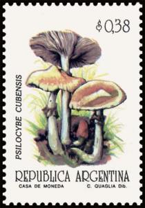 Colnect-5020-992-Psilocybe-cubernis.jpg