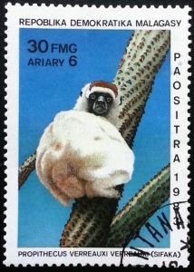 Colnect-2325-902-Verreaux%E2%80%99s-Sifaka-Propithecus-verreauxi.jpg