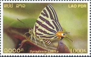 Colnect-2234-196-Long-banded-Silverline-Spindasis-lohita.jpg