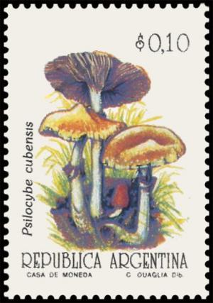 Colnect-5040-384-Psilocybe-cubensis.jpg