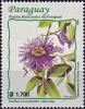 Colnect-3889-323-Passiflora-cincinnata.jpg