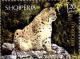 Colnect-4609-636-Eurasian-Lynx-Lynx-lynx.jpg