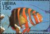 Colnect-3977-585-Harlequin-Tuskfish-Lienardella-fasciatus.jpg