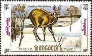 Colnect-1257-904-Siberian-musk-deer-Moschus-Moschiferus.jpg