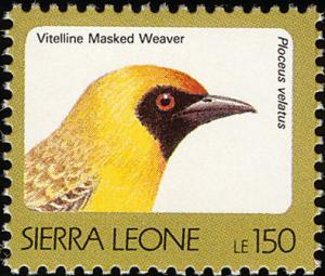 Colnect-1617-997-Southern-Masked-Weaver-Ploceus-velatus.jpg