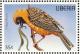 Colnect-3811-672-Southern-Masked-Weaver-Ploceus-velatus.jpg