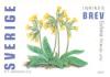 Colnect-546-149-Cowslip-Primula-veris.jpg