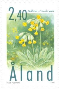 Colnect-160-870-Cowslip-Primula-veris.jpg