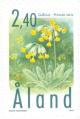 Colnect-160-870-Cowslip-Primula-veris.jpg