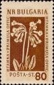 Colnect-2159-617-Cowslip-Primula-veris.jpg