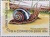 Colnect-2110-454-Cuban-Land-Snail-Polymita-picta-picta.jpg