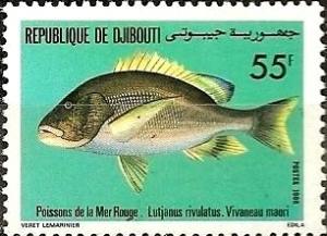 Colnect-1093-677-Blubberlip-Snapper-Lutjanus-rivulatus.jpg