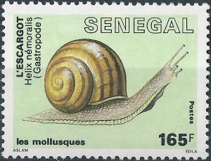 Colnect-2250-552-Grove-Snail-Helix-nemoralis.jpg