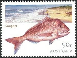 Colnect-3690-128-Golden-Snapper-Pagrus-auratus.jpg