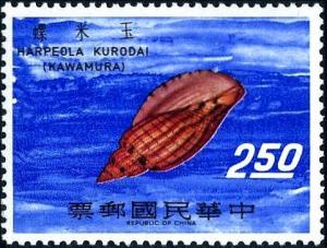 Colnect-6034-919-Sea-Snail-Lyria-kurodai-.jpg