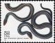 Colnect-5106-725-San-Francisco-Garter-Snake-Thamnophis-sirtalis-tetrataenia.jpg