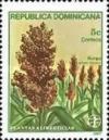 Colnect-3134-892-Sorghum-bicolor.jpg