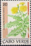 Colnect-5672-346-Sonchus-daltonii.jpg