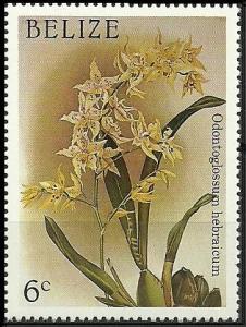 Colnect-1790-236-Oncidium--times--andersonianum-synOdontoglossum-x-hebraicum.jpg