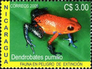 Colnect-3063-582-Strawberry-Poison-Dart-Frog-Oophaga-pumilio.jpg