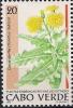 Colnect-5672-346-Sonchus-daltonii.jpg