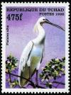 Colnect-2072-298-African-Spoonbill-Platalea-alba.jpg