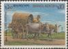 Colnect-2529-808-Transport--Bullock-cart.jpg