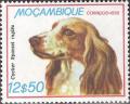 Colnect-1116-055-English-Cocker-Spaniel-Canis-lupus-familiaris.jpg