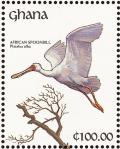 Colnect-1459-807-African-Spoonbill-Platalea-alba.jpg