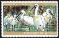 Colnect-1838-963-African-Spoonbill-Platalea-alba.jpg