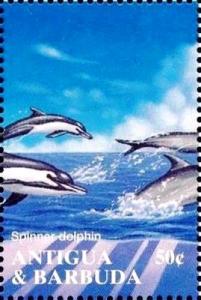 Colnect-4112-752-Spinner-dolphin.jpg