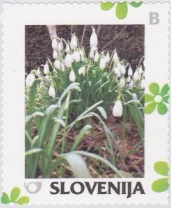 Colnect-2372-375-Spring-Snowdrops.jpg