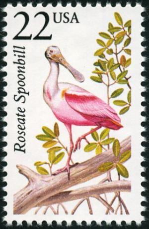 Colnect-5026-777-Roseate-Spoonbill-Platalea-ajaja.jpg