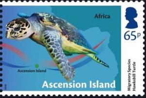 Colnect-5409-078-Migratory-Species--Hawksbill-Turtle.jpg