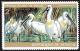 Colnect-1838-963-African-Spoonbill-Platalea-alba.jpg