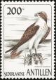 Colnect-960-125-Western-Osprey%C2%A0Pandion-haliaetus.jpg