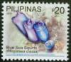 Colnect-1832-631-Blue-Sea-Squirts-Rhopalaea-crassa.jpg