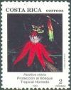 Colnect-1270-988-Passiflora-vitifolia.jpg