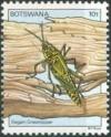 Colnect-1754-717-Elegant-Grasshopper-Zonocerus-elegans-.jpg