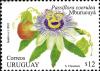 Colnect-2043-651-Passiflora-coerulea.jpg