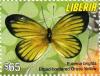 Colnect-3468-422-Small-Grass-Yellow-Eurema-brigitta.jpg