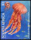 Colnect-5423-396-Benguala-Compass-Jellyfish-Chrysaora-fulgida.jpg