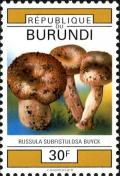 Colnect-2048-472-Russula-subfistulosa.jpg